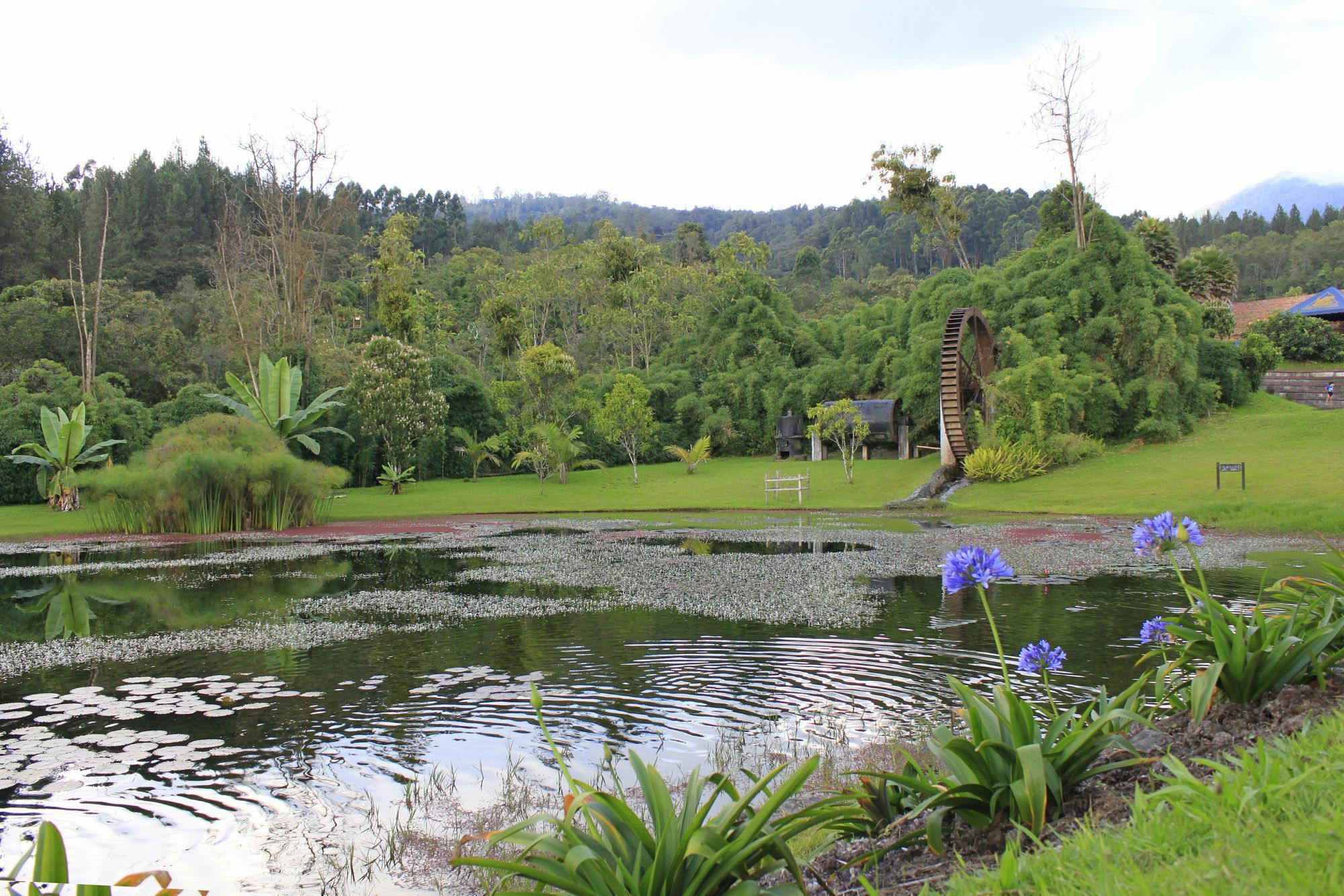 Estelar Recinto Del Pensamiento Y Centro De Convenciones Manizales
